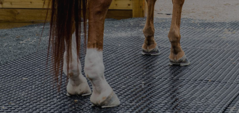 horse mats, rubber matting